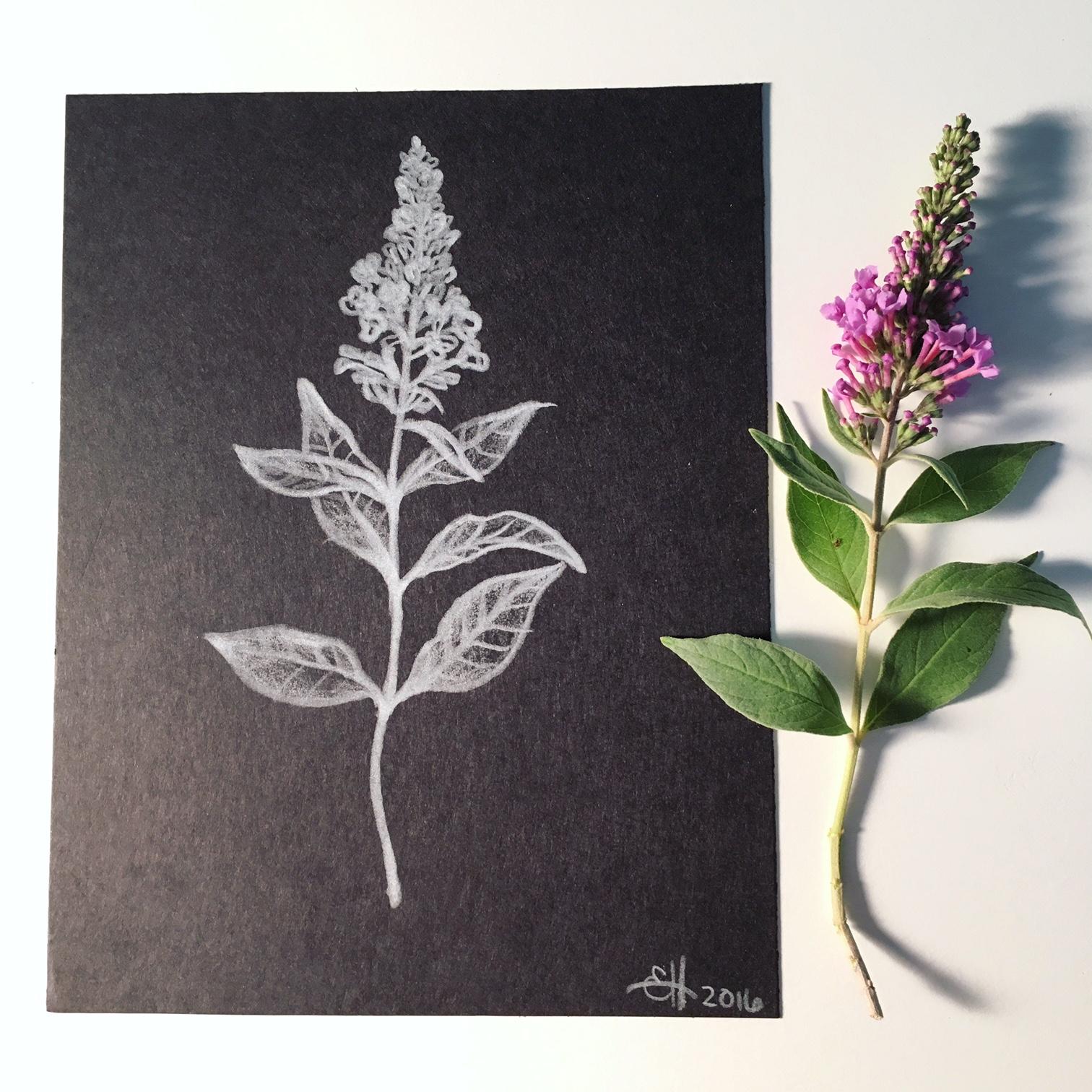 Digging out old talents - image 3 - student project