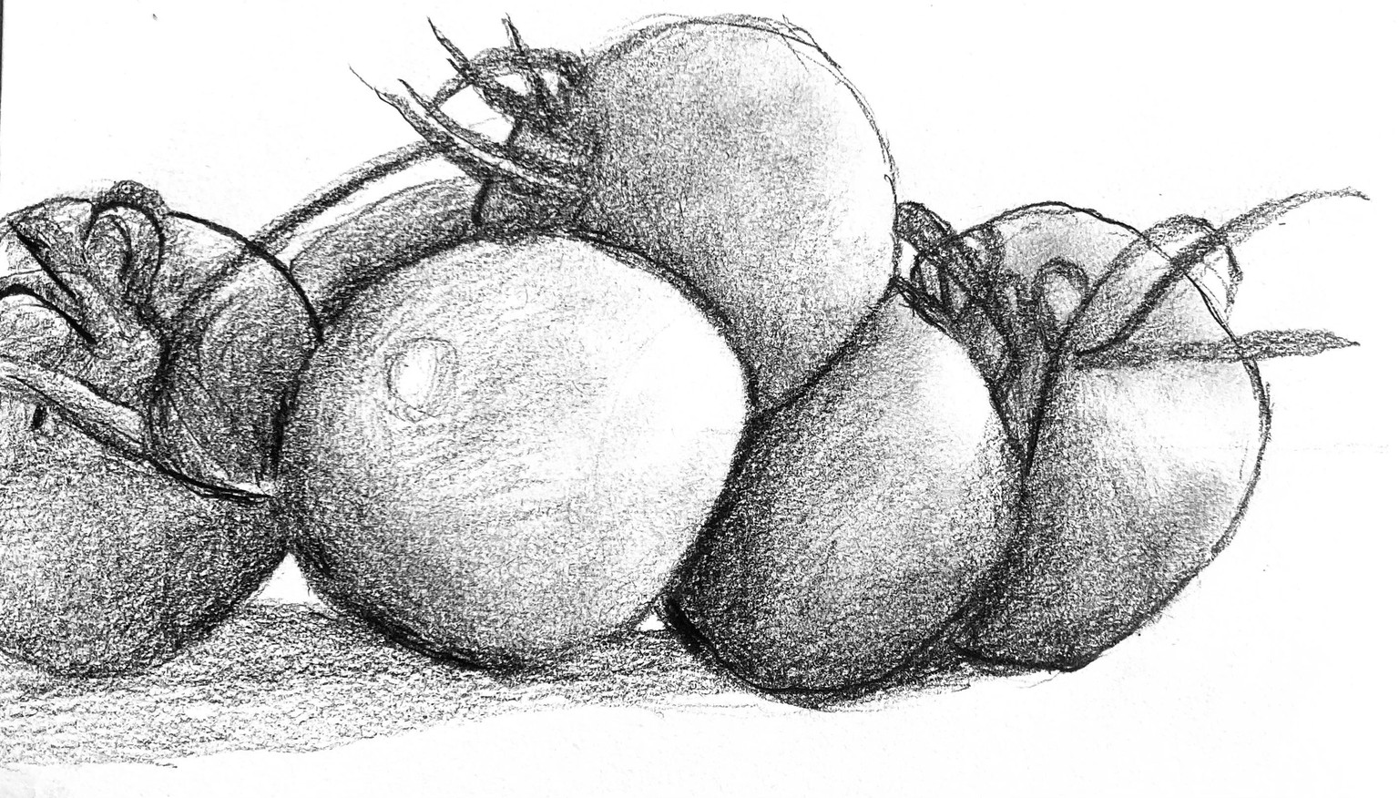 A couple of drawings - image 2 - student project