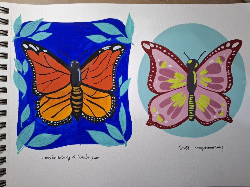 Butterfly Colour Study - image 2 - student project