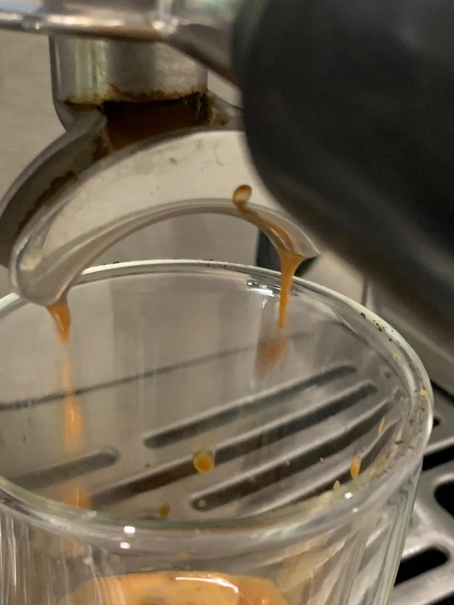 Flat White made on a Sunbeam Cafe Series home espresso machine - image 1 - student project
