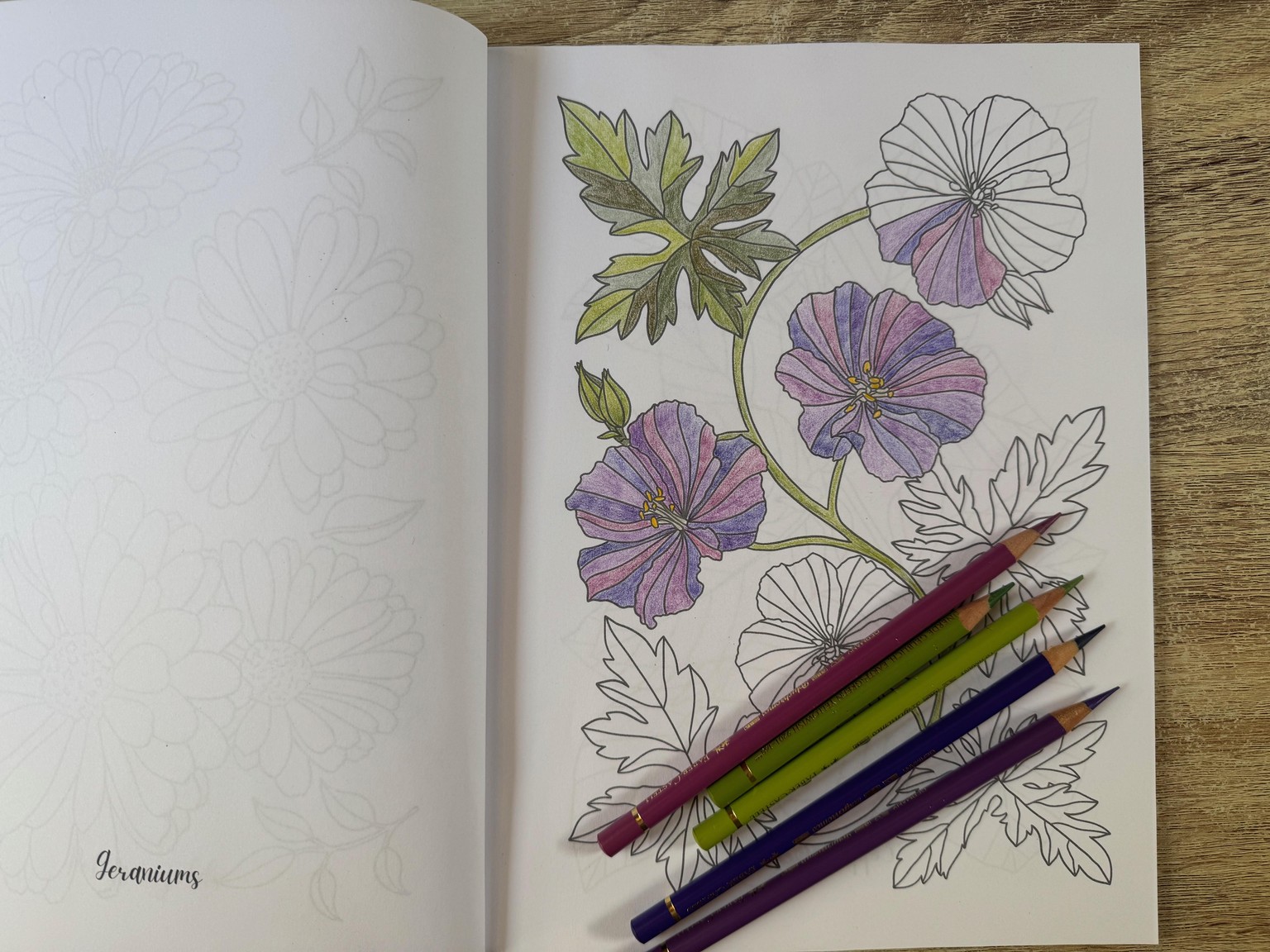 Petals and Leaves: my colouring book. - image 1 - student project
