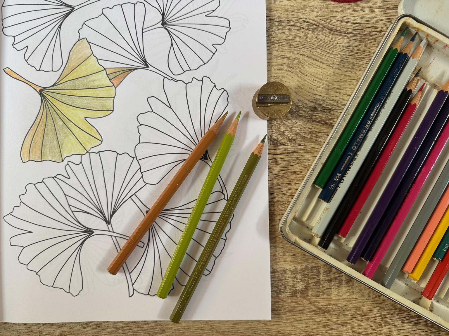 Petals and Leaves: my colouring book. - image 3 - student project