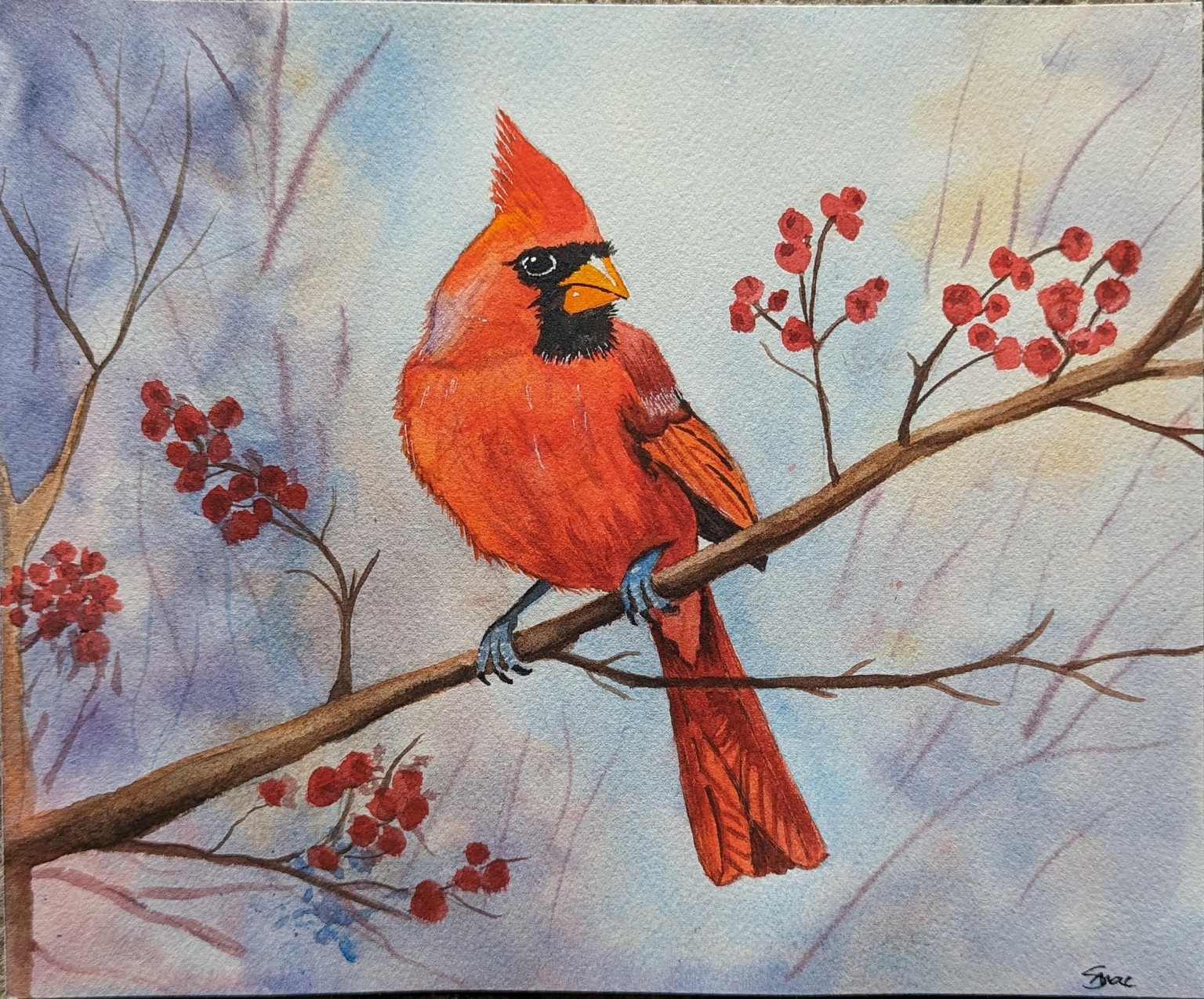 Disgruntled Cardinal - image 1 - student project