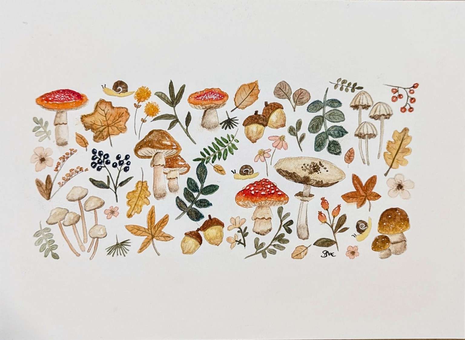 Autumn Delight - image 1 - student project