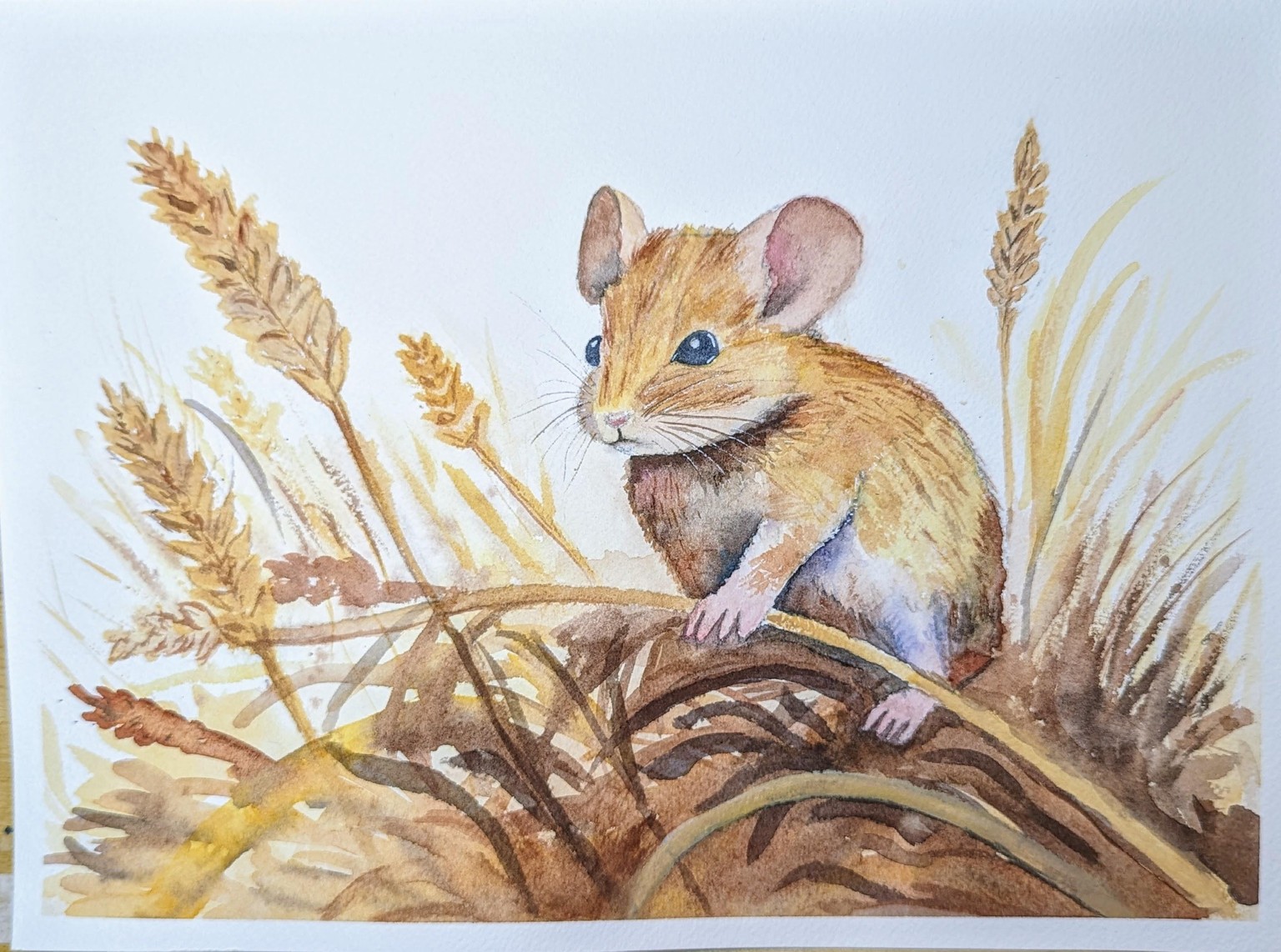 Fall Field Mouse - image 1 - student project
