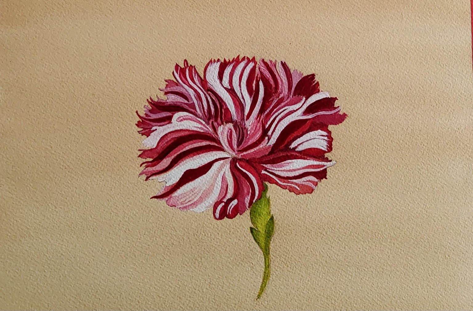Red botanical - image 1 - student project