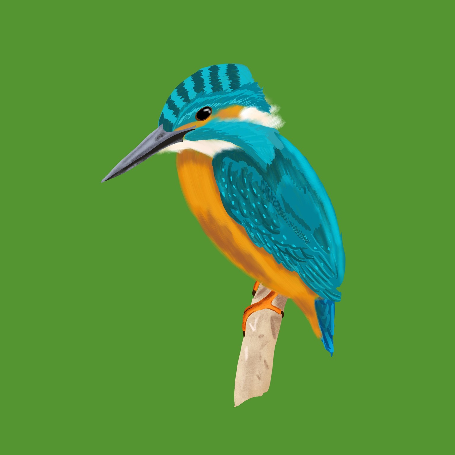 King fisher - image 2 - student project
