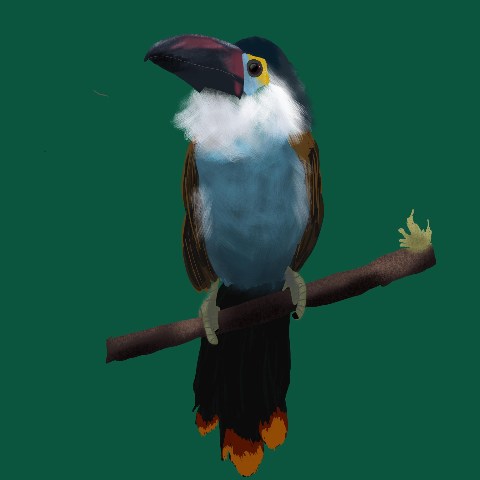 King fisher - image 1 - student project