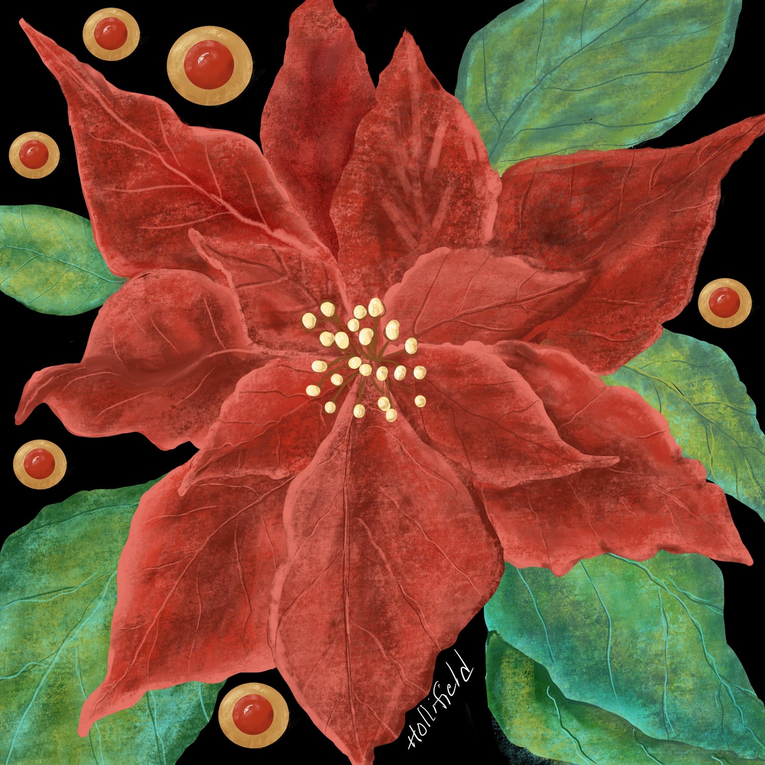 Poinsettia - image 1 - student project