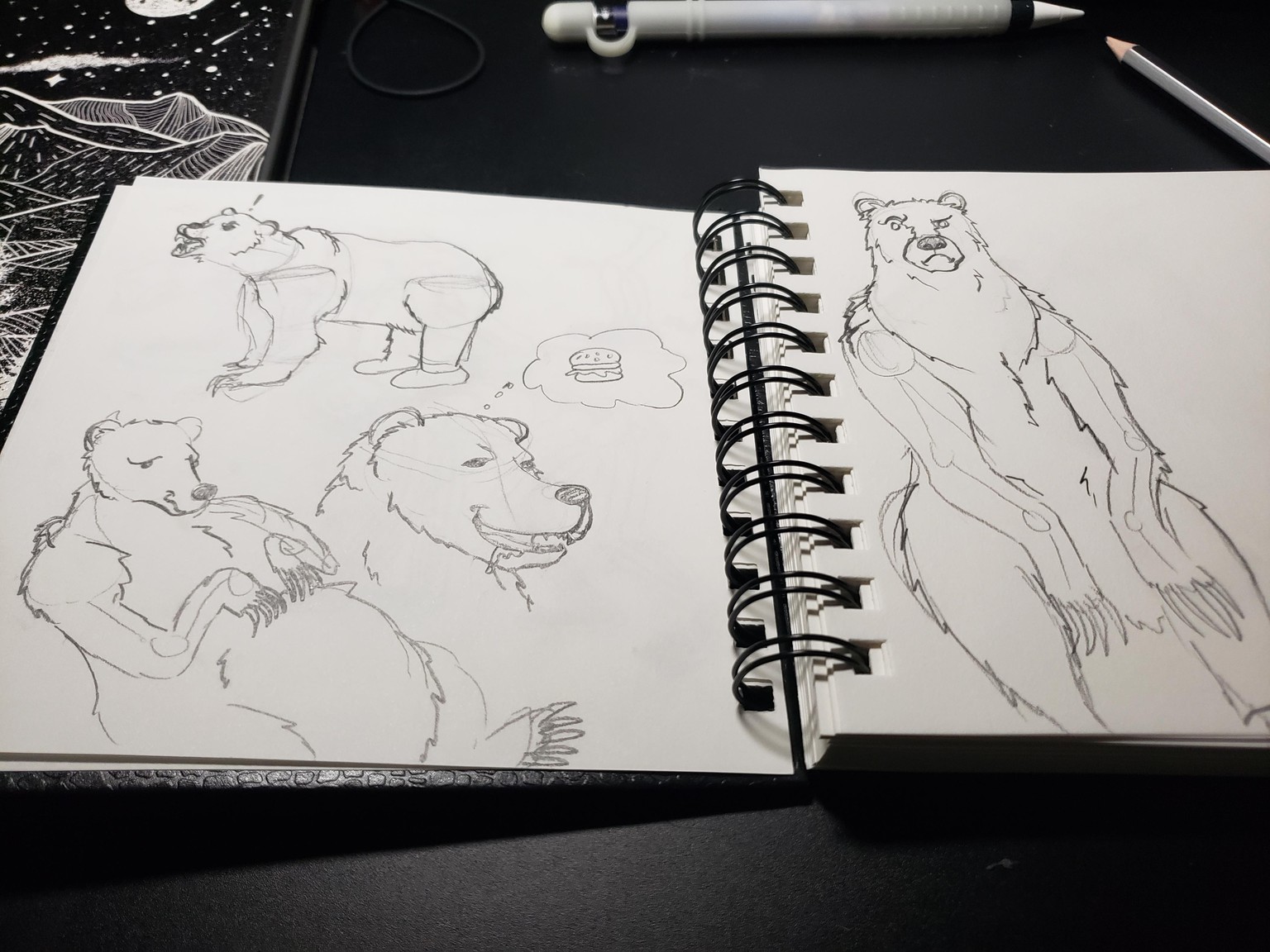 Bear study and character concepts - image 1 - student project