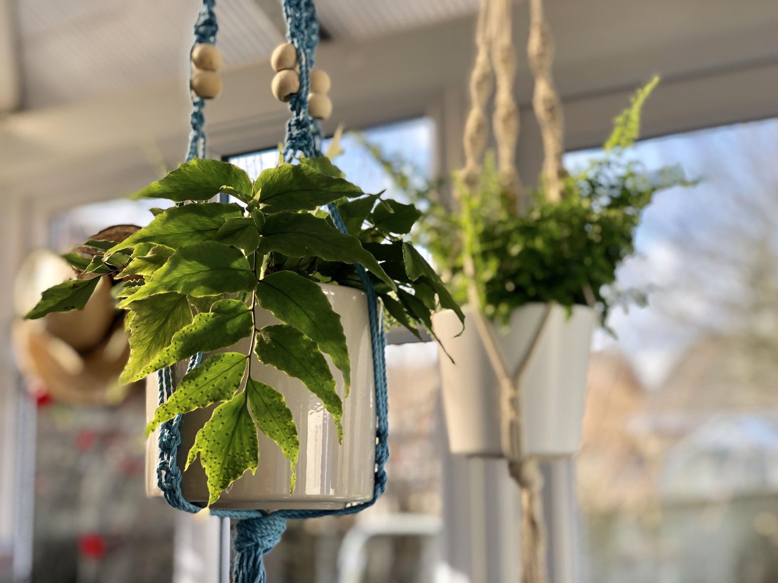 First Time Macrame Fun! - image 4 - student project