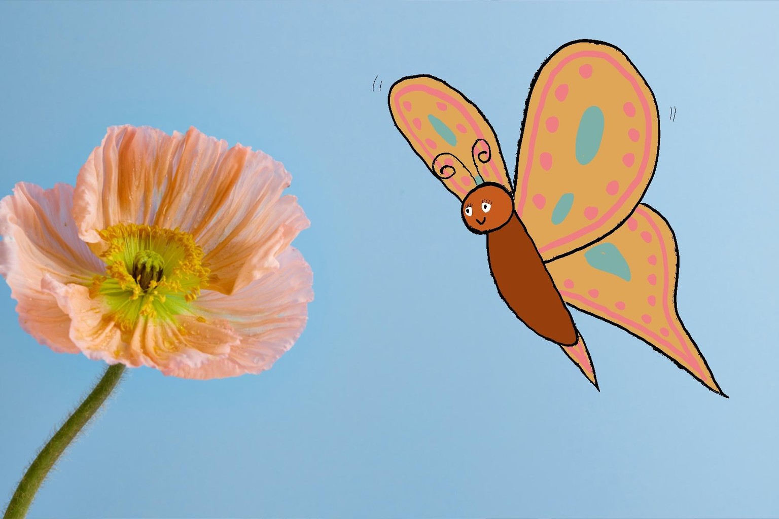 Drawing on Photos - image 1 - student project