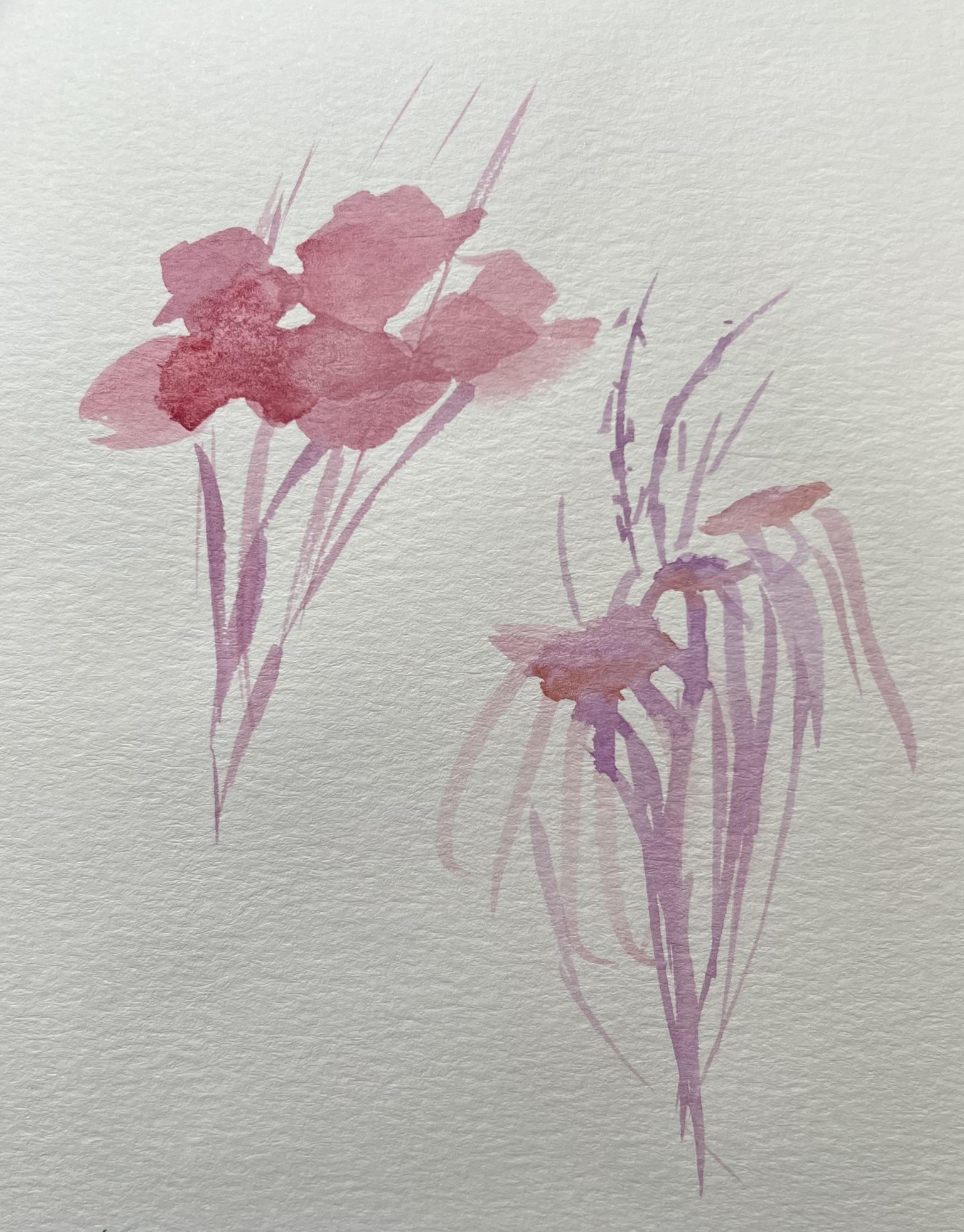 Quick & Loose Play - image 2 - student project