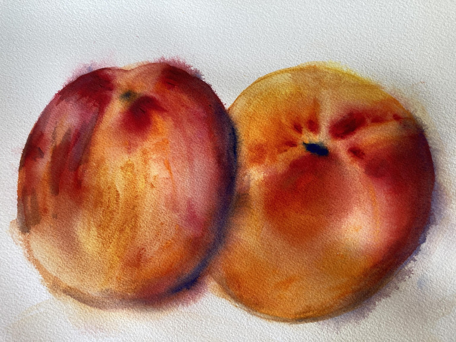 nectarines - image 1 - student project