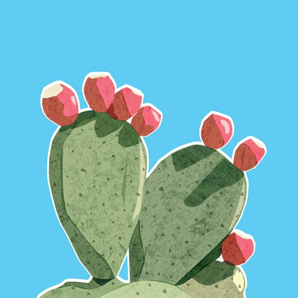Nopales - image 1 - student project