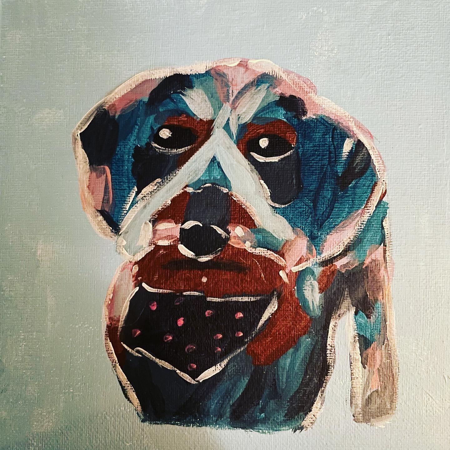 Vic my dachshund - image 1 - student project