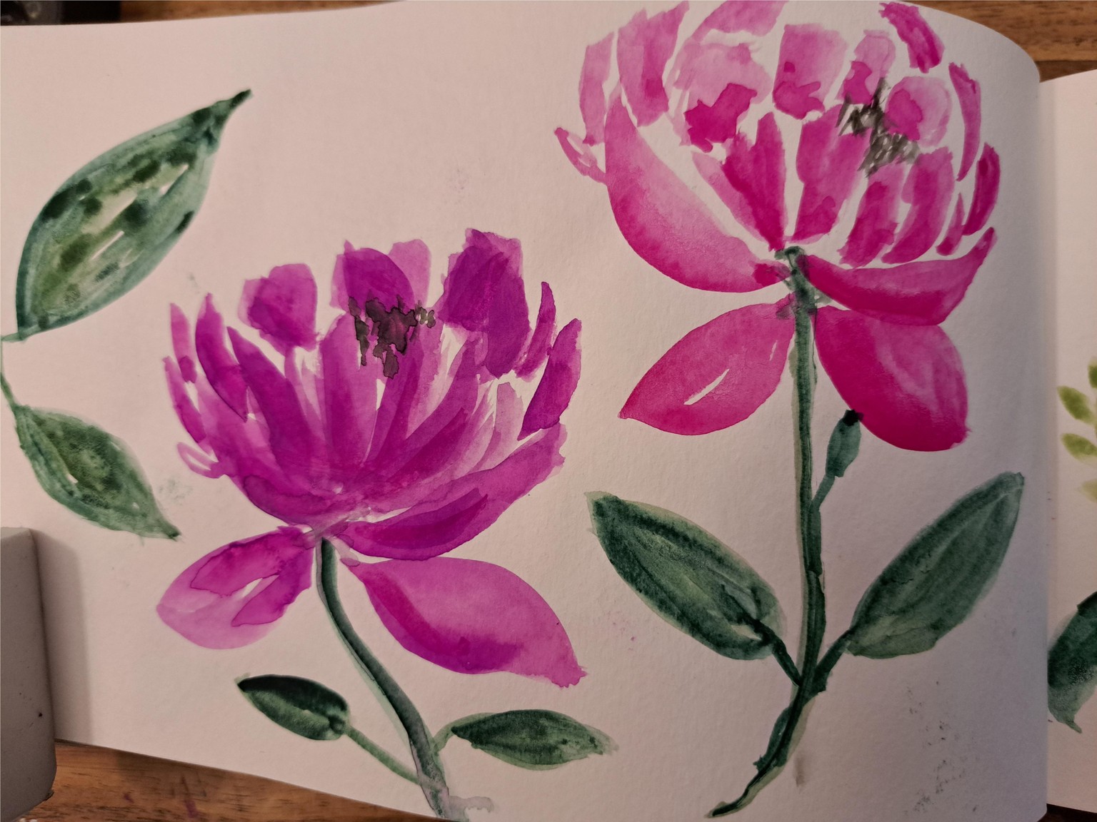 Thank you! - image 2 - student project