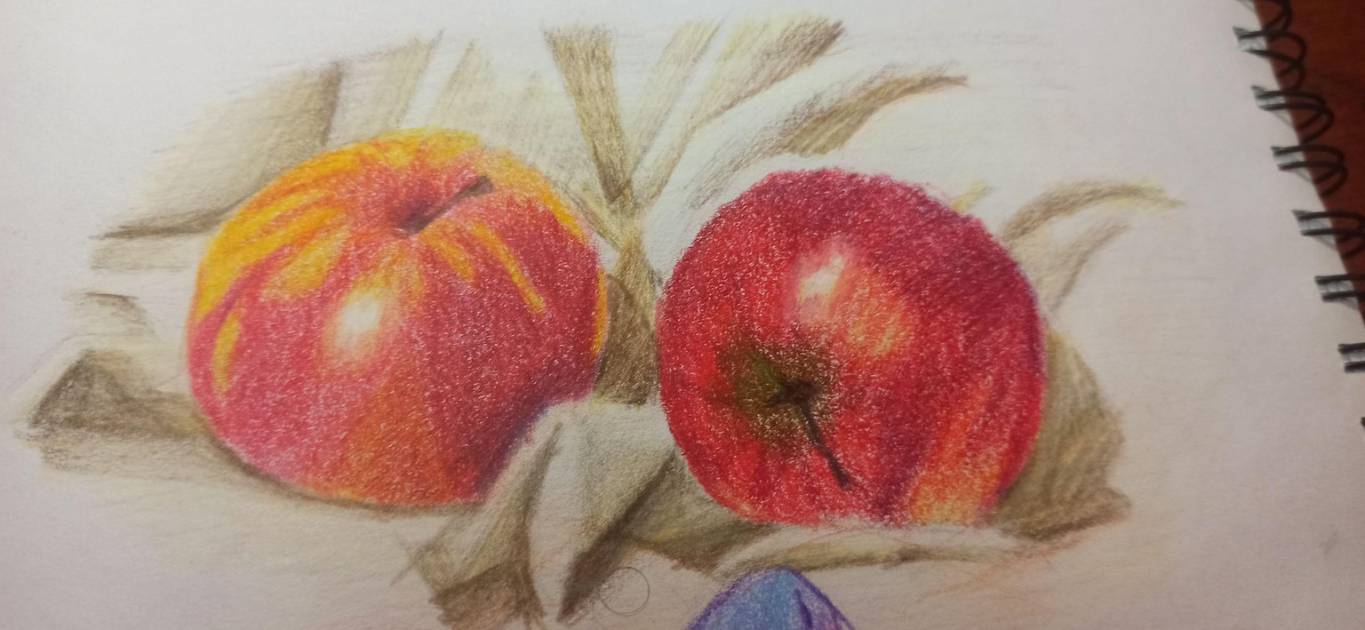 practicas - image 3 - student project