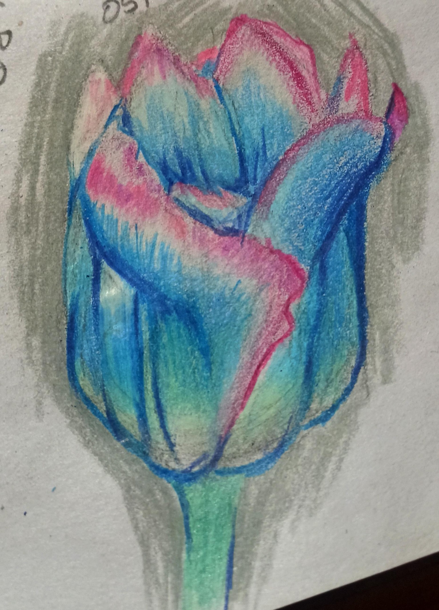 practicas - image 2 - student project