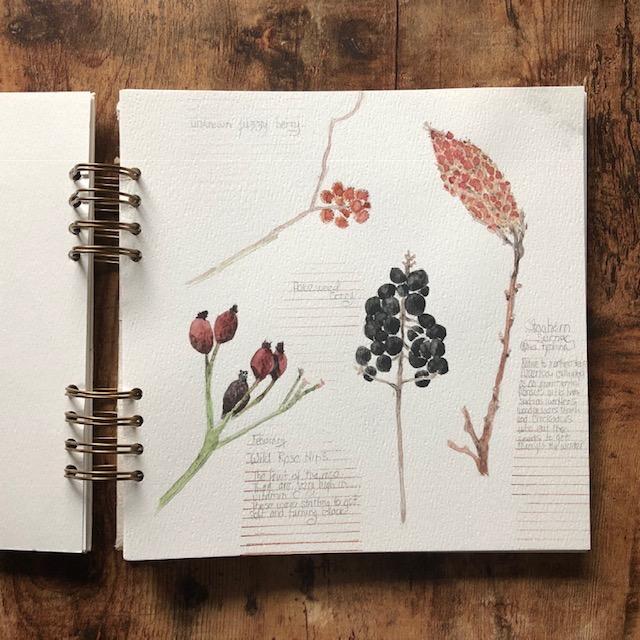 winter nature sketchbook journal - image 2 - student project