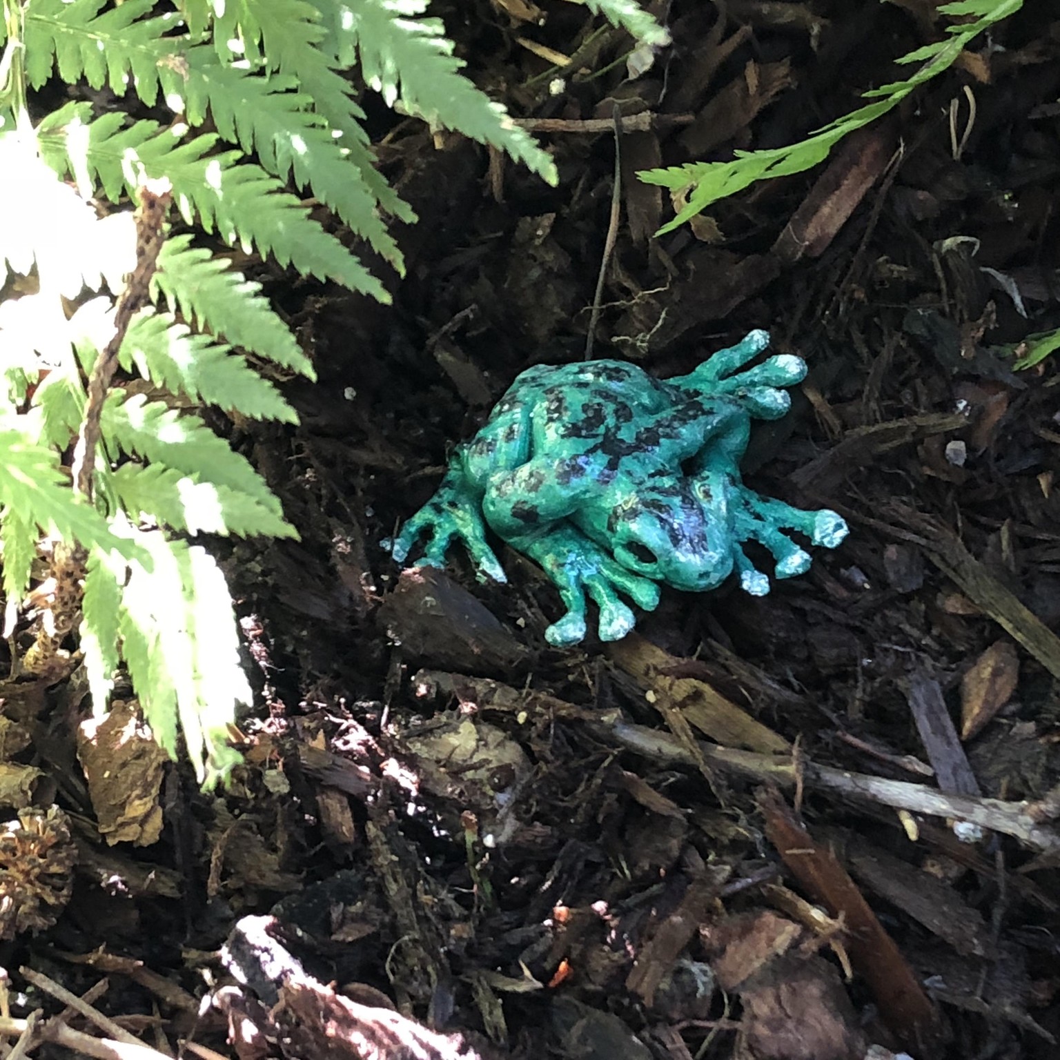 frog - image 1 - student project