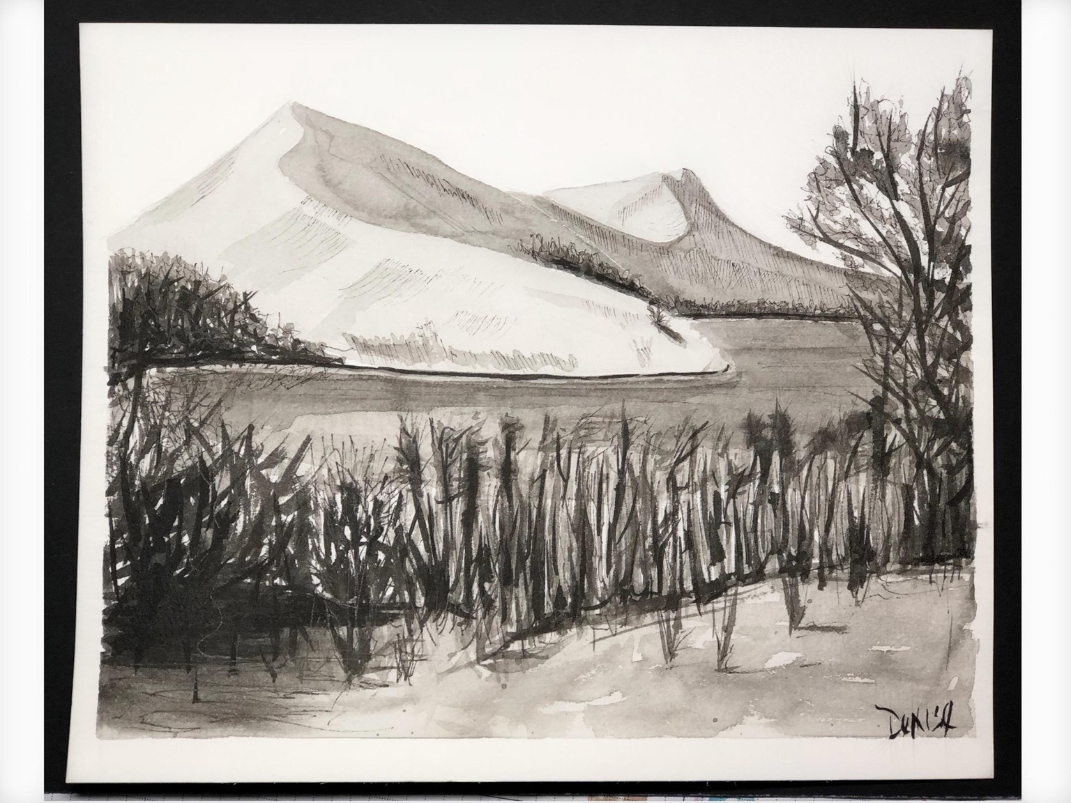 Bruneau Sand Dunes in Ink - image 1 - student project