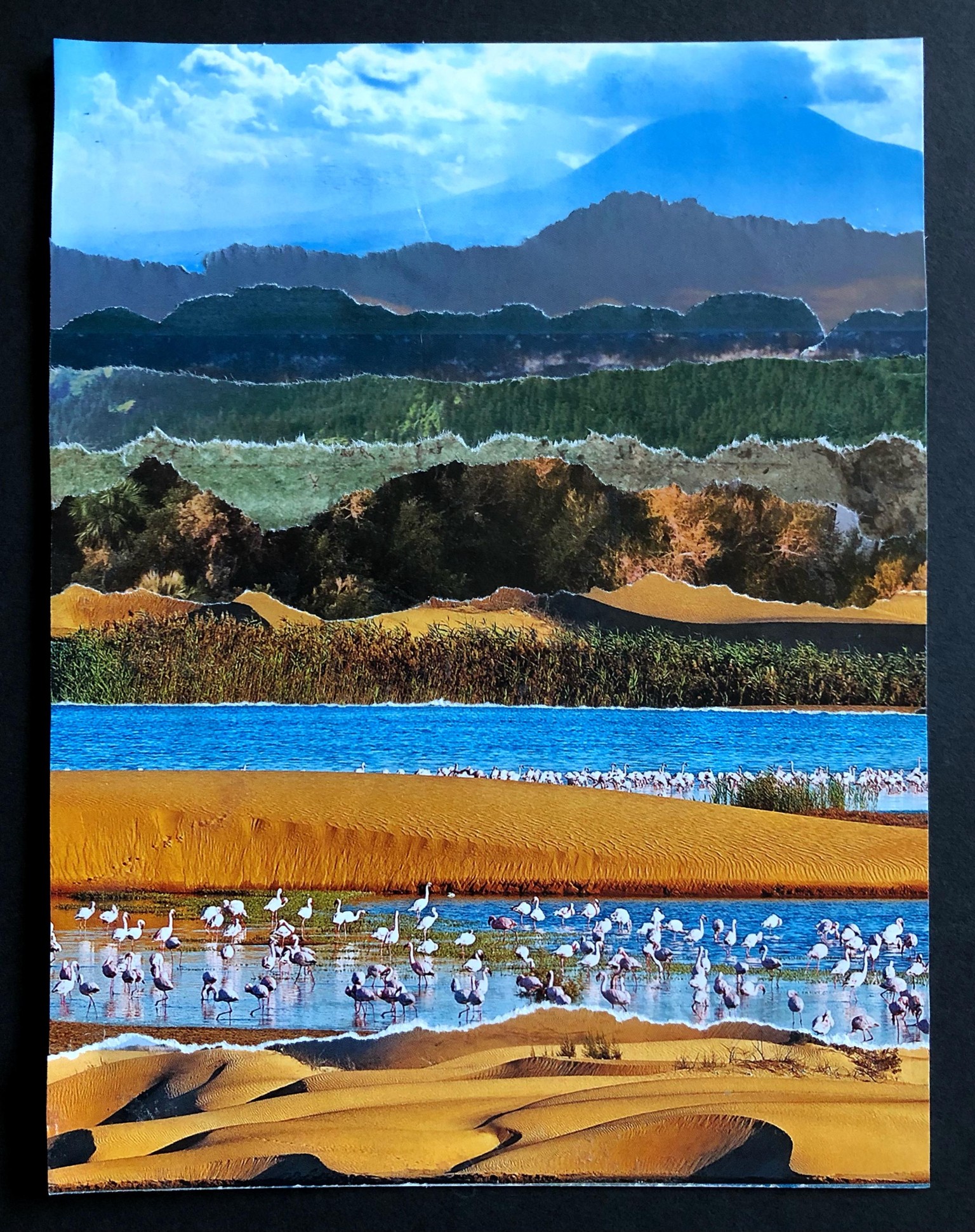 Collage for Relaxation - image 1 - student project