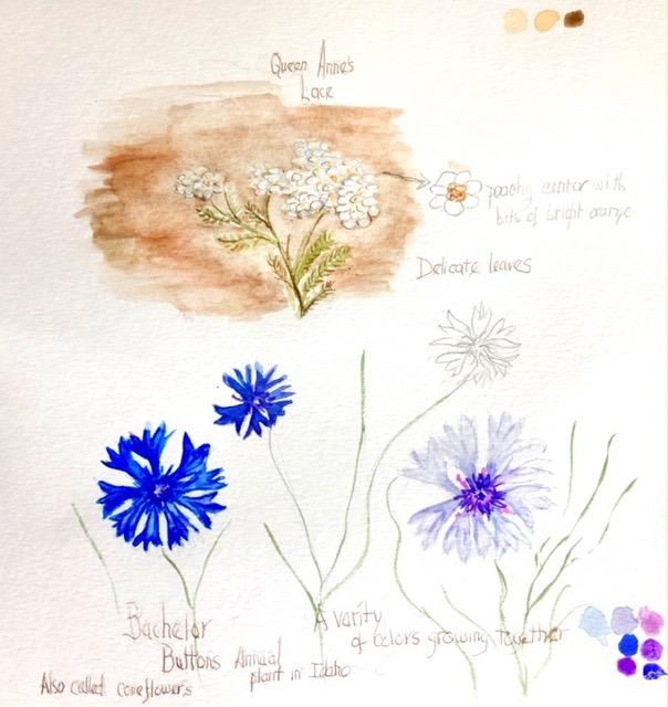 spring nature sketchbook - image 3 - student project