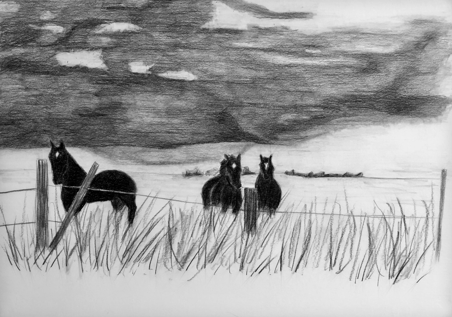 Exploring Carbon Pencils - image 3 - student project