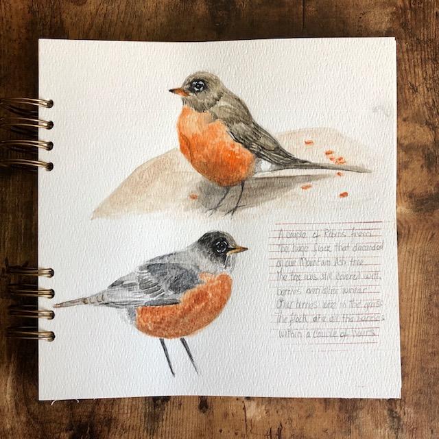 A Flock of Robins - image 2 - student project