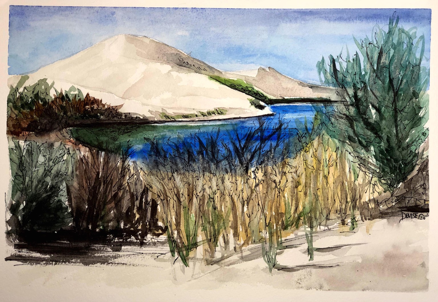 Bruneau Sand Dunes in Ink - image 2 - student project