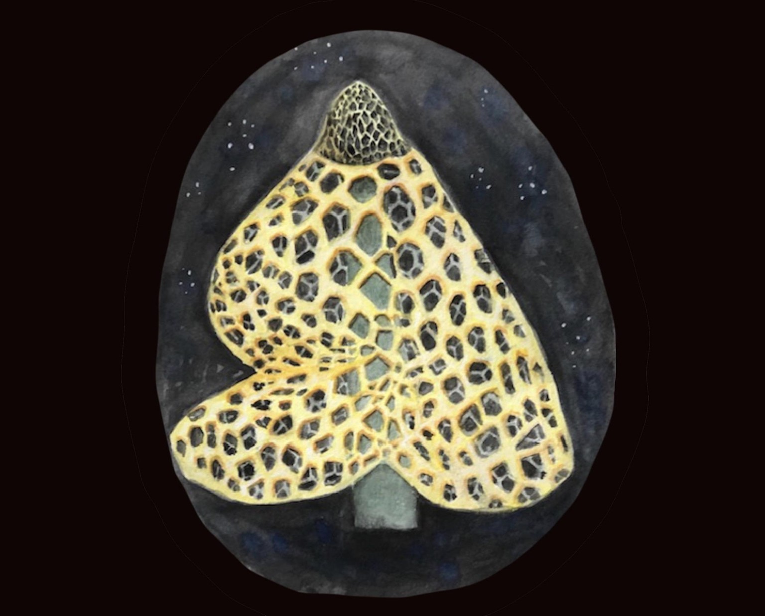 veiled mushroom watercolor painting - image 1 - student project