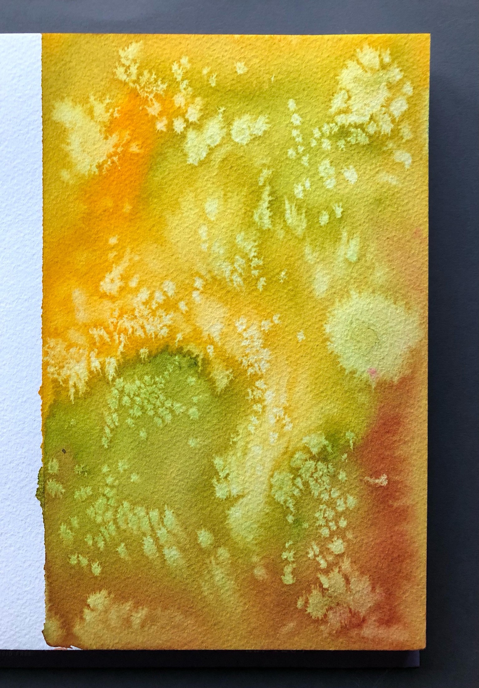 Watercolor Mixed Media Collage Octopus - image 3 - student project