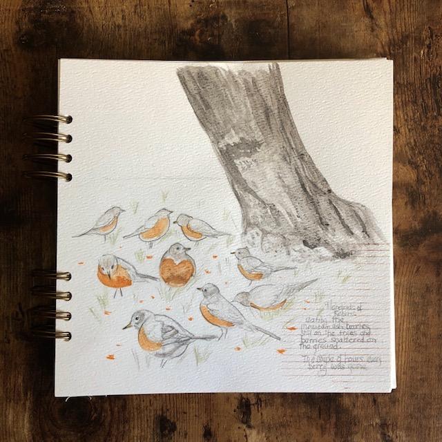 A Flock of Robins - image 1 - student project