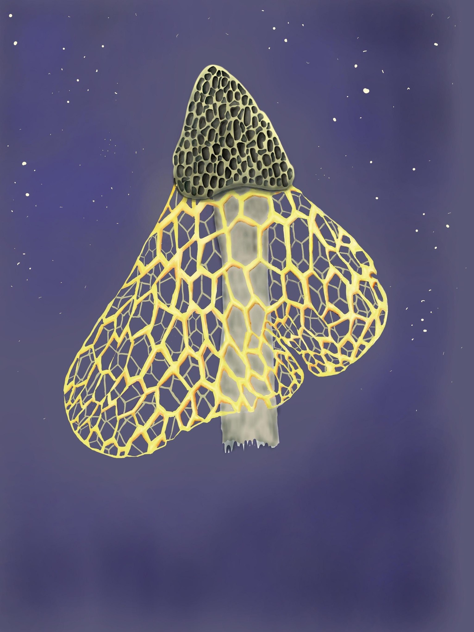 veiled mushroom watercolor painting - image 2 - student project