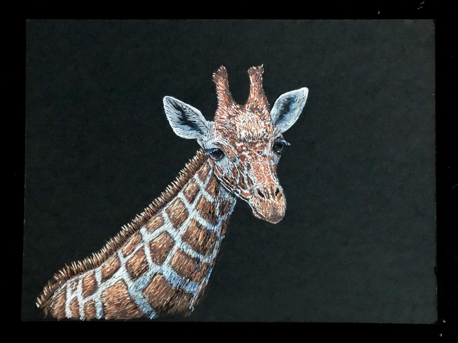 Posca Pen Giraffe - image 1 - student project