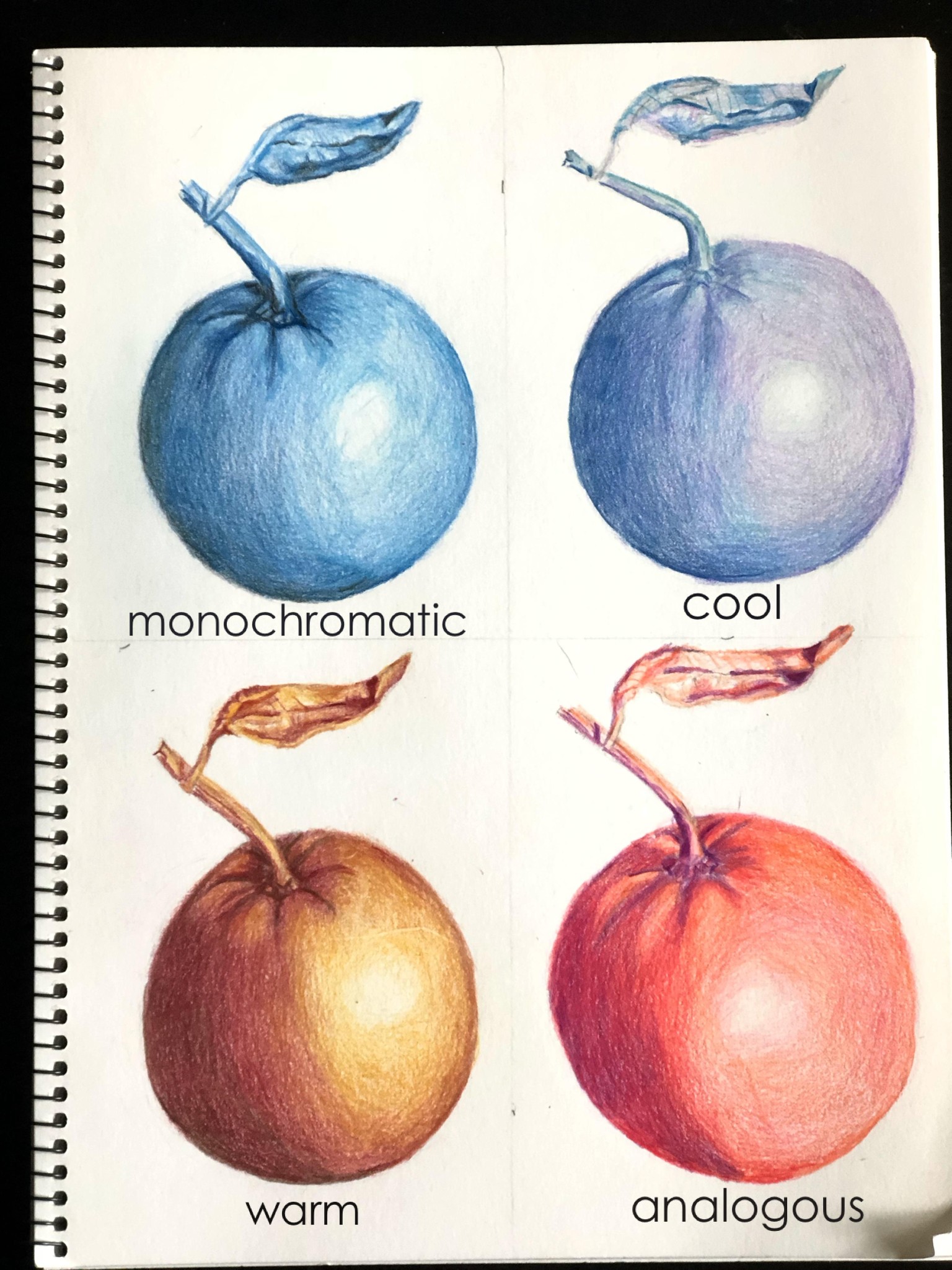 Colored Pencil Color Theory Studies - image 1 - student project