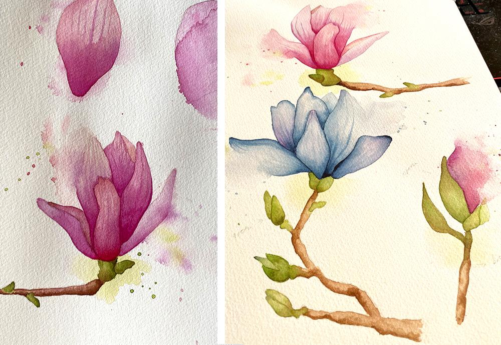 Botanical Watercolor - Magnolia - image 3 - student project