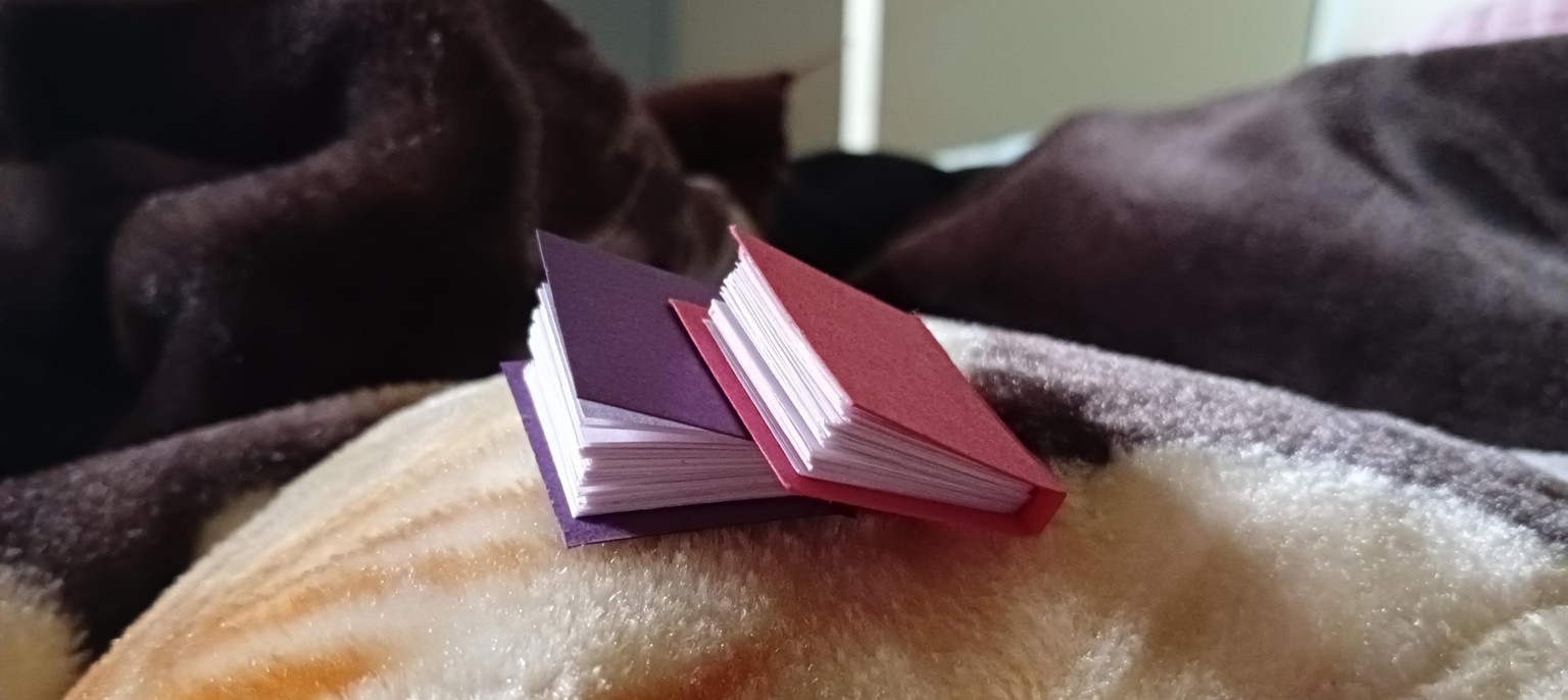 Two miniature books - image 1 - student project