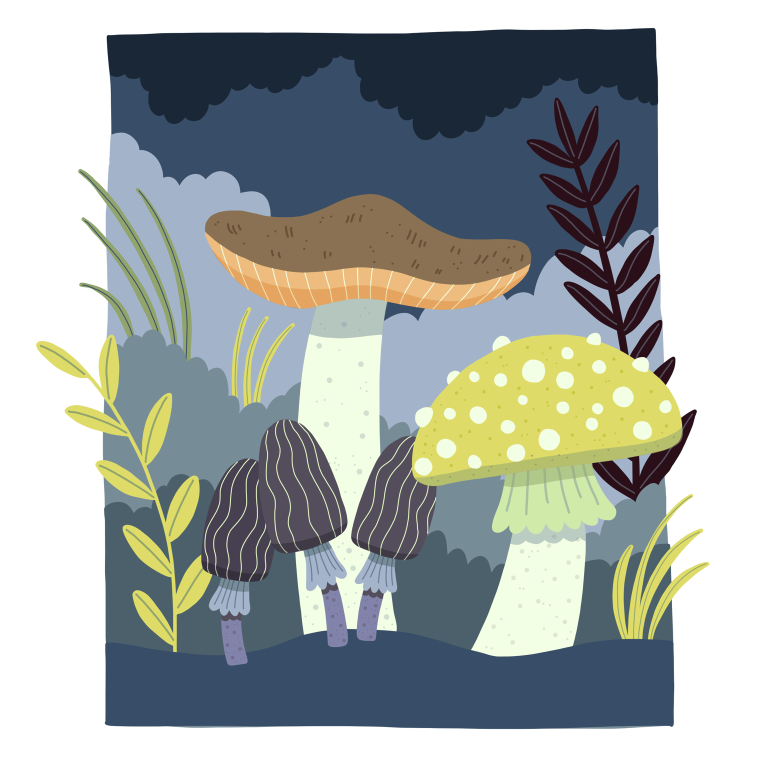 Mushrooms in three different styles - image 1 - student project