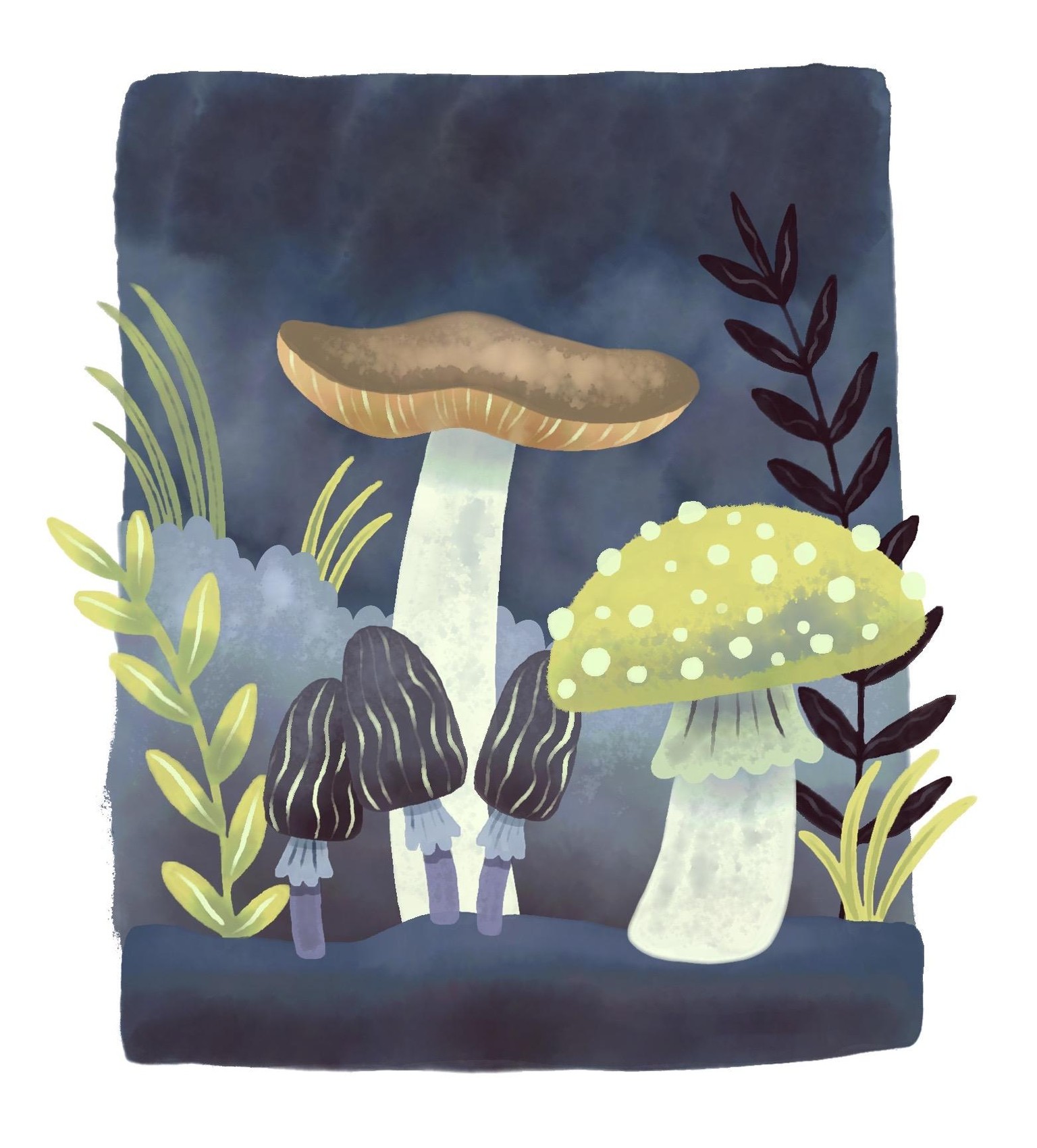 Mushrooms in three different styles - image 2 - student project