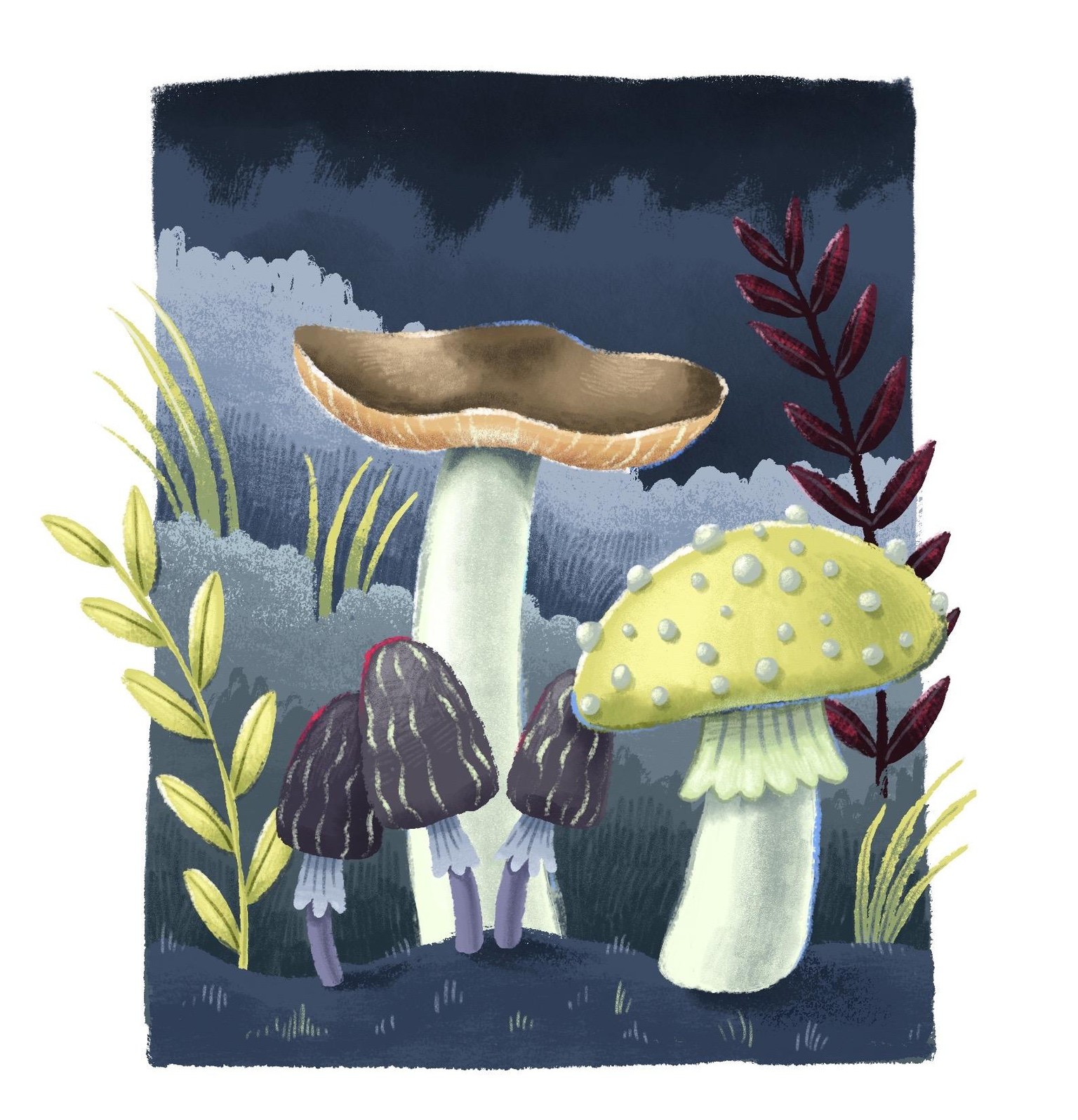 Mushrooms in three different styles - image 3 - student project