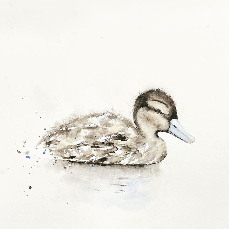 Duckling by Carolyn - image 1 - student project