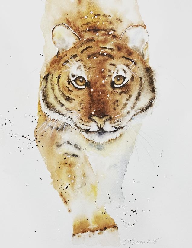 Tiger by Carolyn - image 1 - student project