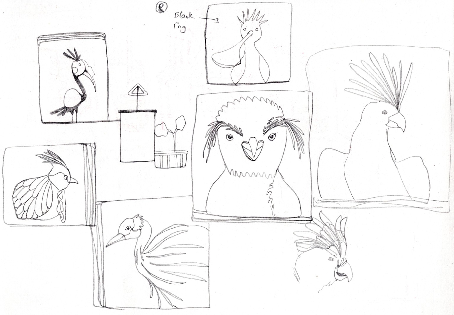 Collage Bird Portraits - image 1 - student project