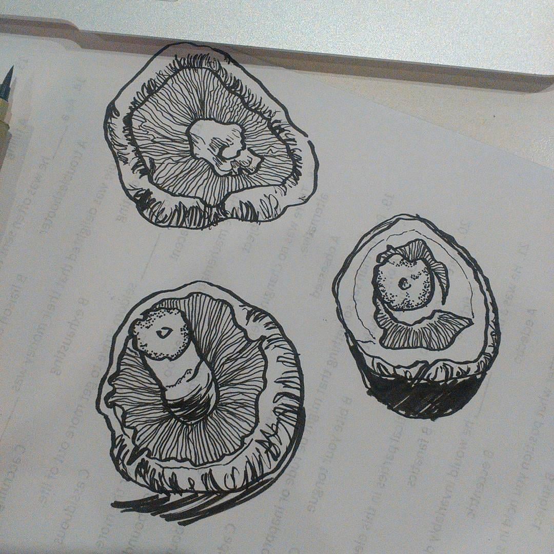 Food Illustration! - image 2 - student project