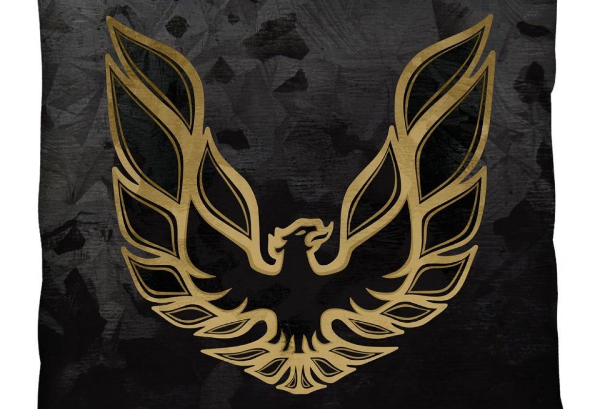 Firebird description - image 1 - student project