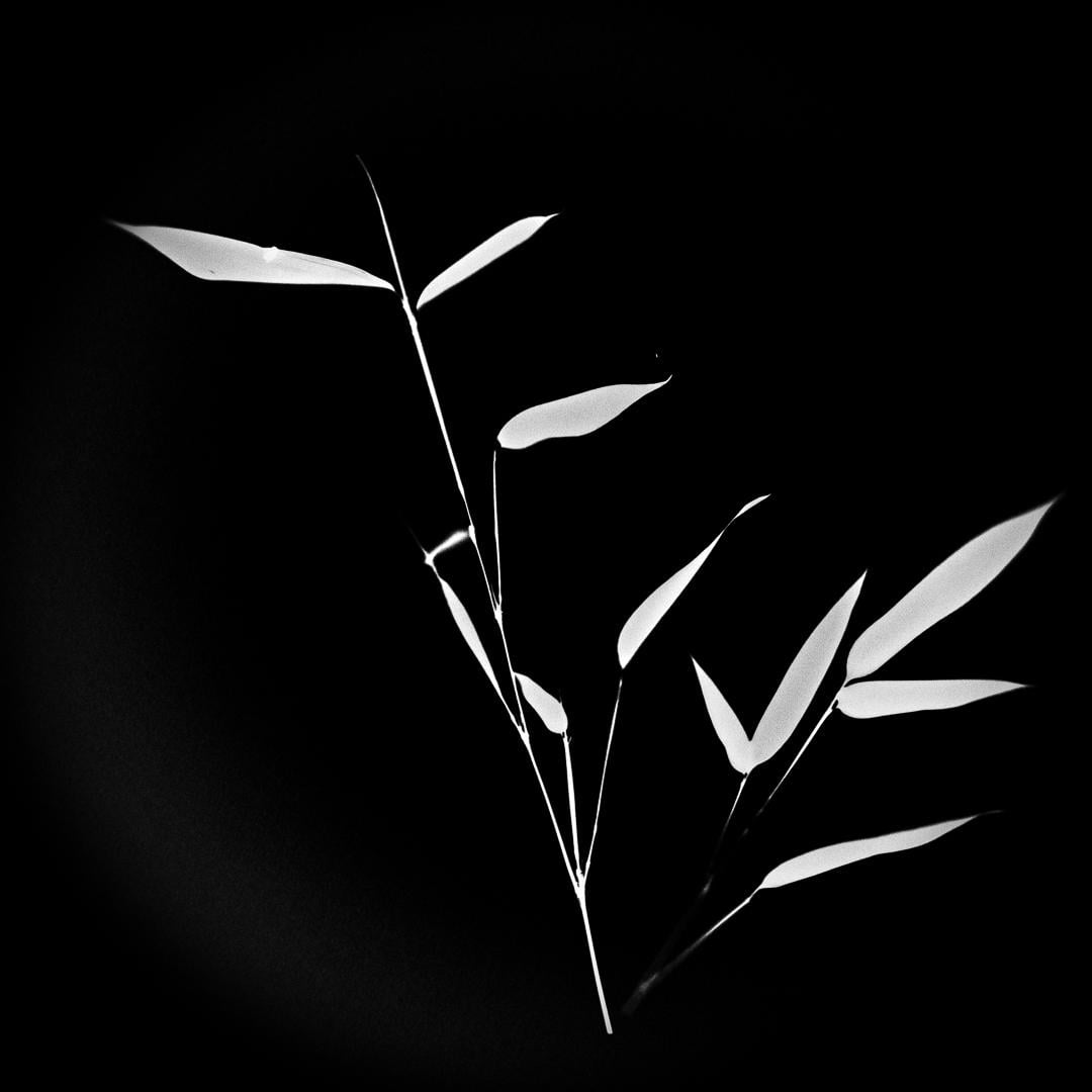 Photogram - image 2 - student project