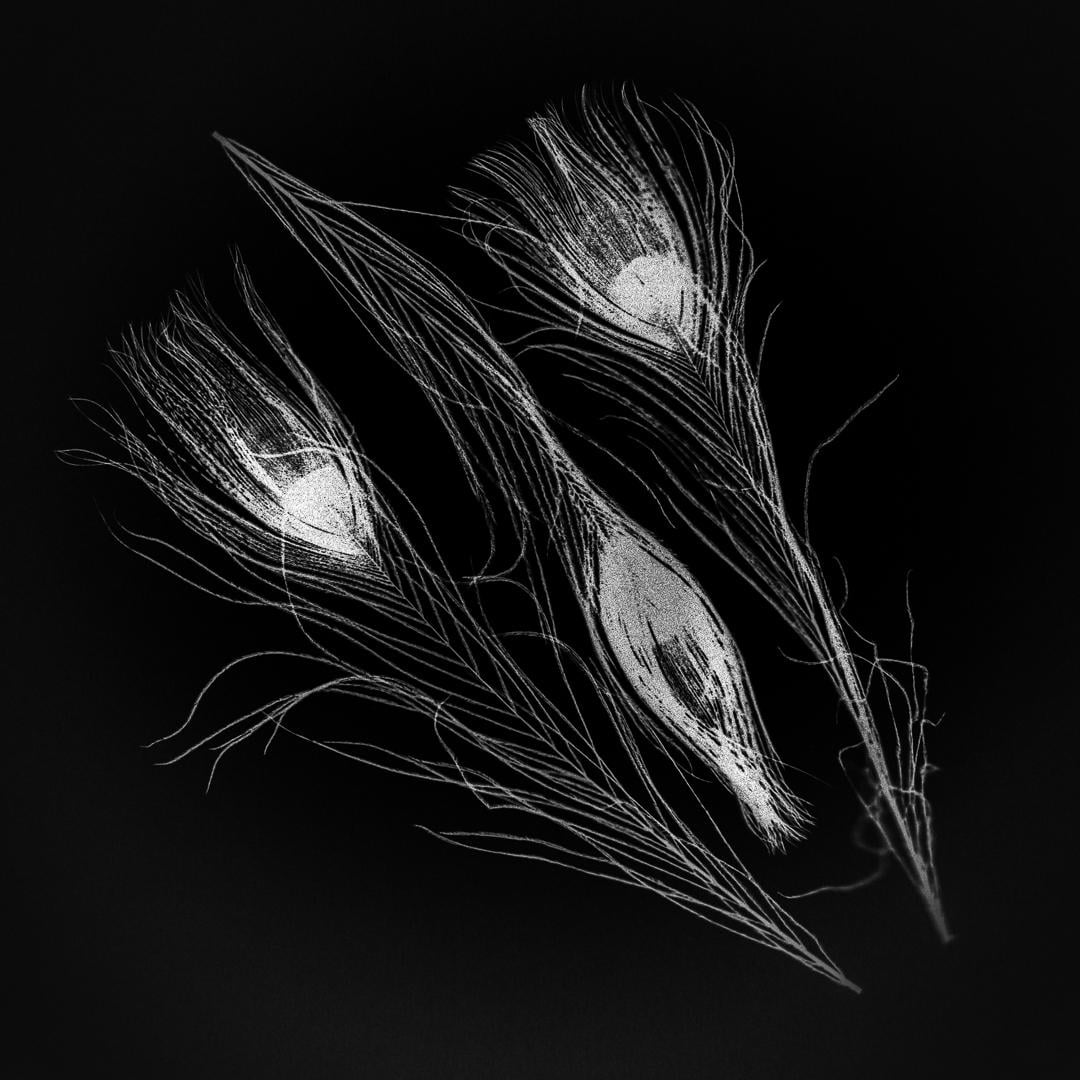 Photogram - image 3 - student project