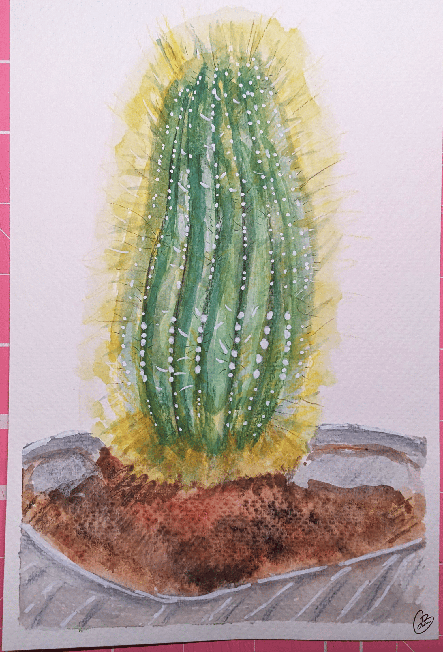 Catcus - image 1 - student project